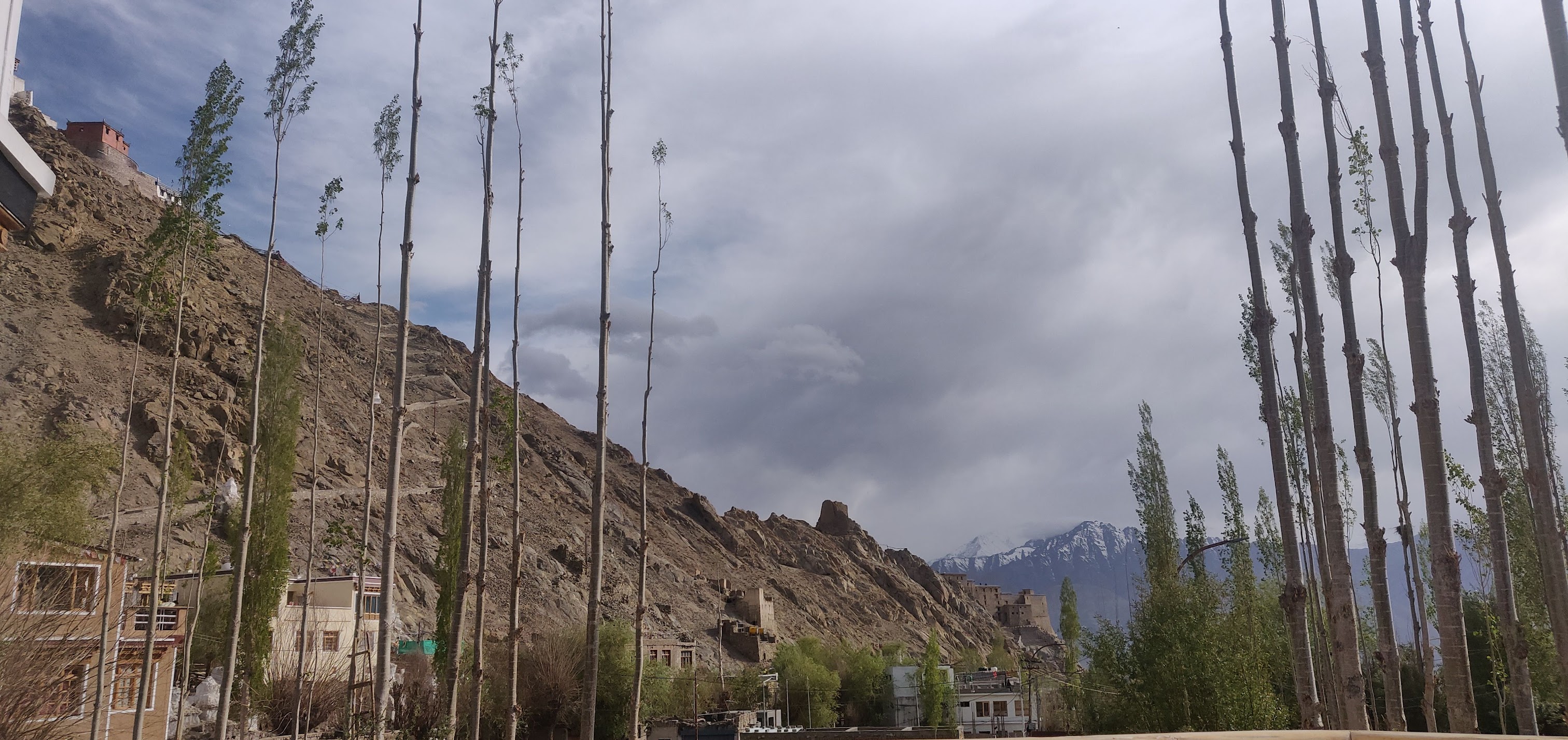Leh Airport View