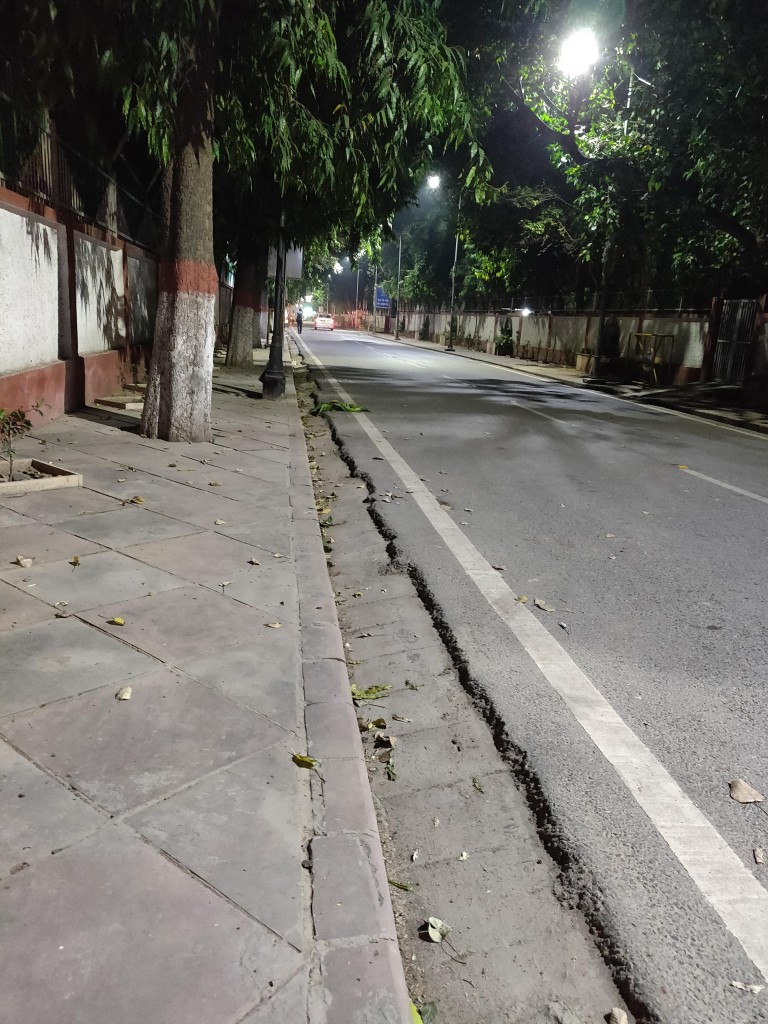 Delhi Streets