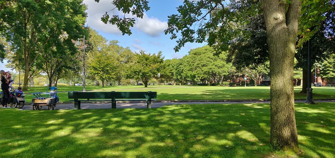 Harvard Campus